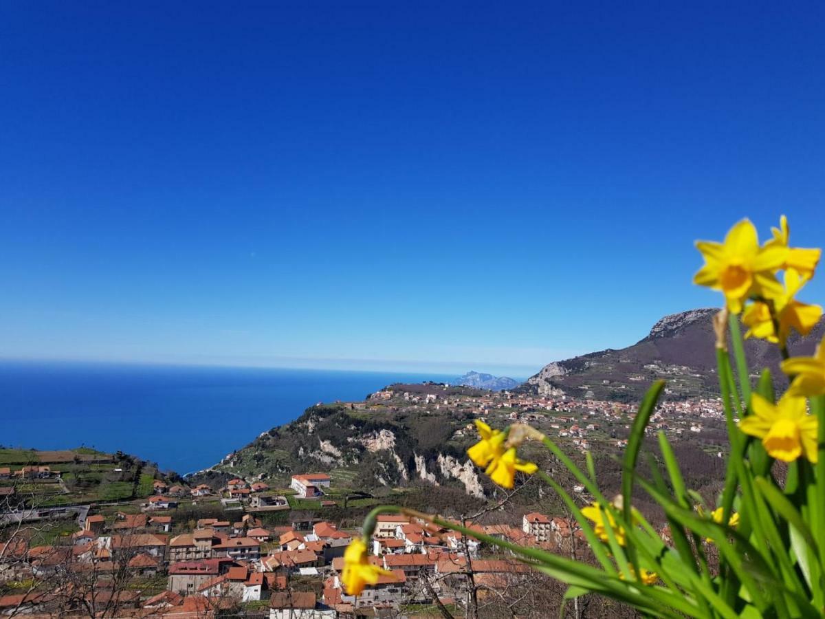 Reginella 3* Agerola